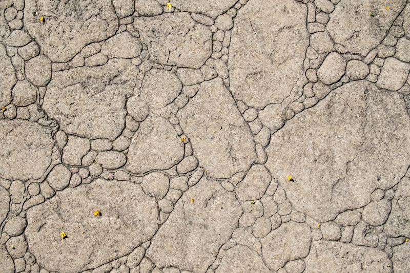 Decorative Concrete Repair in North Fort Myers, FL